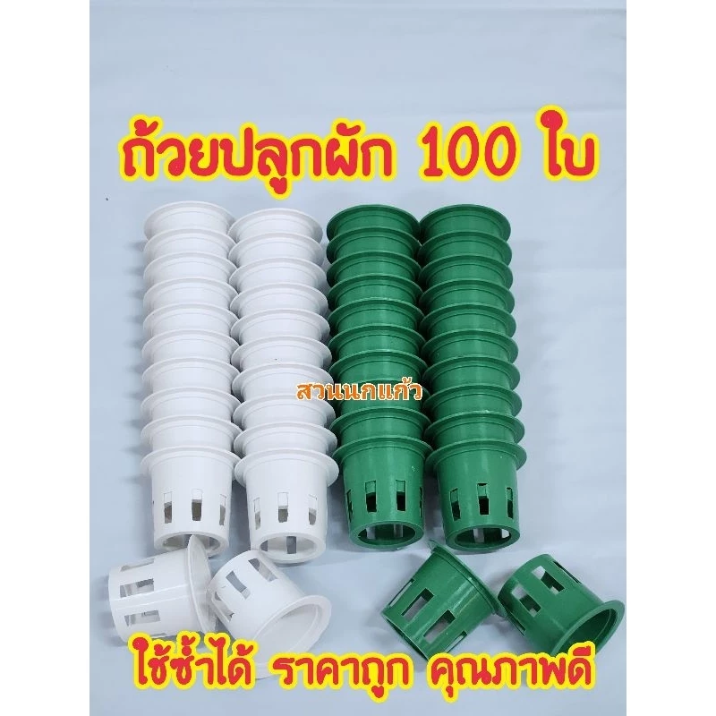 ถ้วยปลูกผักไฮโดรโปนิกส์ 100 ใบ เกรด Premium คุณภาพคับถ้วย