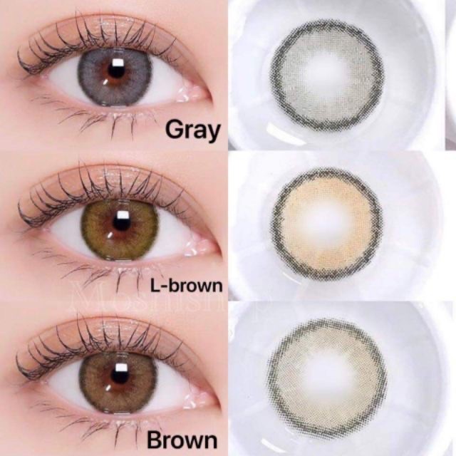 คอนแทคเลนส์ Mini Olivia Brown / Light Brown / Gray (Kitty Kawaii) ขนาดมินิ 🌷 ลายฮิต ขายดีมาก [ค่าสายตา-400 ถึง -1000] - รูปที่ 6
