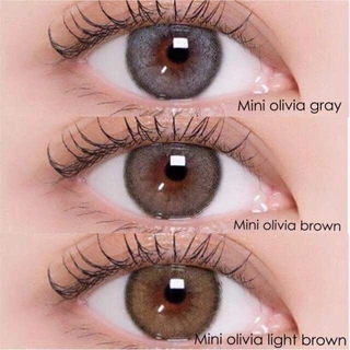 คอนแทคเลนส์ Mini Olivia Brown / Light Brown / Gray (Kitty Kawaii) ขนาดมินิ 🌷 ลายฮิต ขายดีมาก [ค่าสายตา-400 ถึง -1000]
