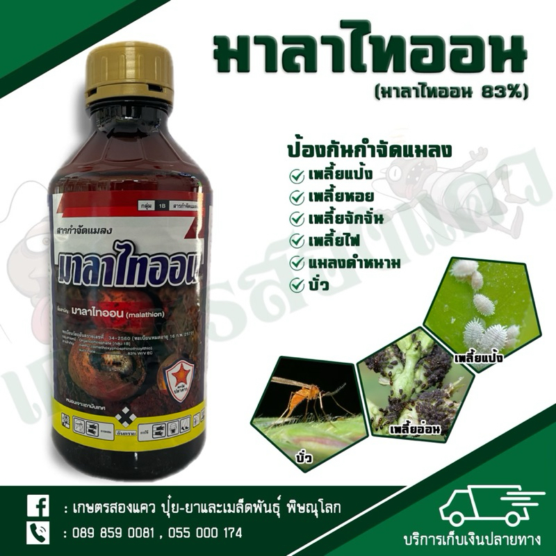 มาลาไทออน83%(ยาเย็น) กำจัดบั่ว เพลี้ยจั้กจั่น เพลี้ยอ่อน เพลี้ยแป้ง เพลี้ยหอย แมลงหวี่ขาว และแมลงวันทอง ขนาด1ลิตร