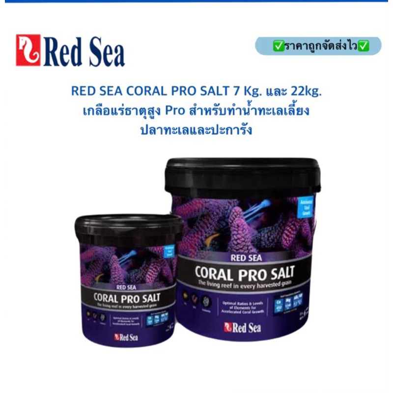 RED SEA CORAL PRO SALT 7 Kg. 22Kg. เกลือแร่ธาตุสูง Pro สำหรับทำน้ำทะเลเลี้ยงปลาทะเลและปะการัง ทำน้ำได้ : 210L Redsea