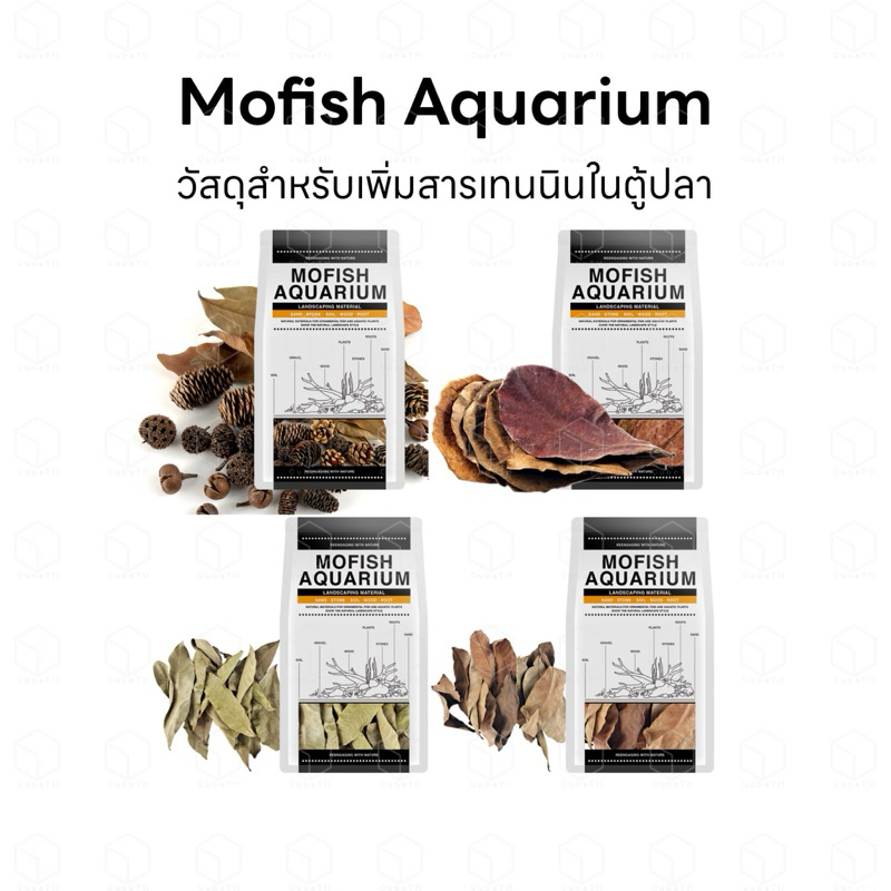 Mofish aquarium ใบไม้แห้งสำหรับปลา กุ้ง เพิ่มสารเทนนิน Longan leaves, cedar fruits, alder cones, ใบหูกวาง, black water