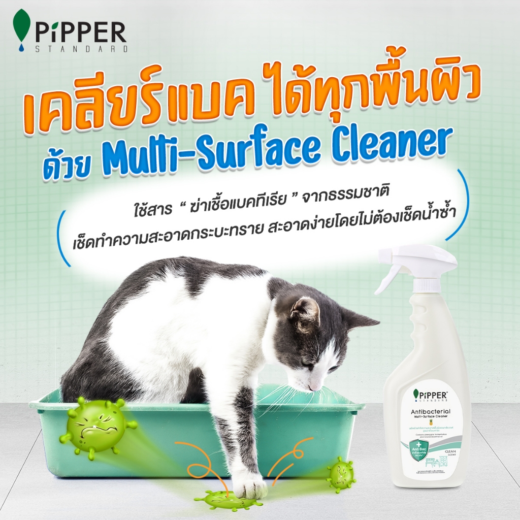 PiPPERSTANDARD ผลิตภัณฑ์ทำความสะอาดพื้นผิวแข็งอเนกประสงค์ สูตรฆ่าเชื้อแบคทีเรีย กลิ่นทีทรีออย 400 มล. แพ็คคู่ - รูปที่ 4