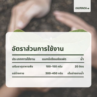 5KG แมกนีเซียมซัลเฟต ปุ๋ยใบเขียว ดีเกลือฝรั่ง / Magnesium sulfate heptahydrate (Epsom salt) - Chemrich
