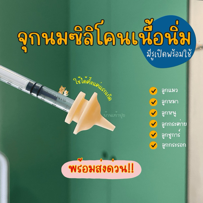 พร้อมส่งด่วน! จุกนมแมว จุกป้อนนมซิลิโคน จุกนมกระรอก ไซริงค์ป้อนนม มีรูเปิดพร้อมใช้