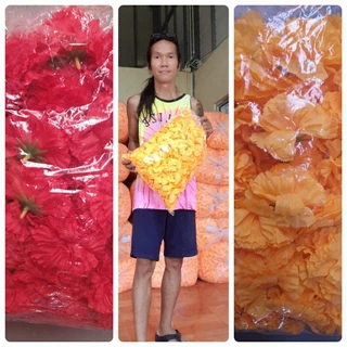 ดอกดาวเรืองร้อยมาลัยขนาดใหญ่10ซม100ดอก160บาท