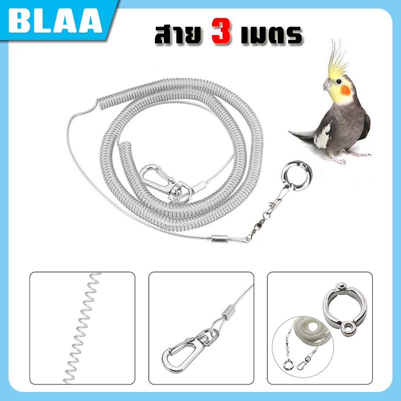 สายจูงนกแก้ว ห่วงขานก ฝึกนก ป้องกันนกหลุด มีหลายขนาด ส่งจากไทย ราคา ถูกที่สุด ดีลบีเคเค รูปภาพหลัก