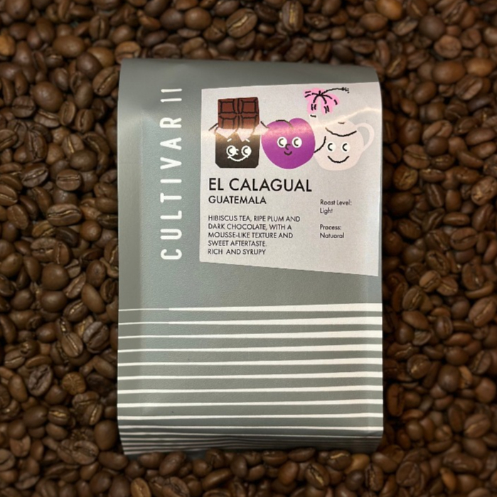 Guatemala El Calagual [Filter] กาแฟคั่วอ่อน