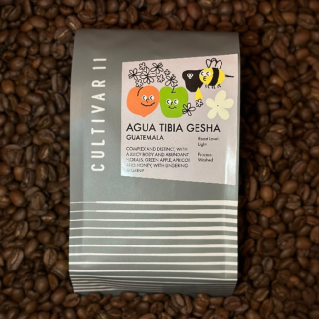 Guatemala Agua Tibia Gesha [Filter] กาแฟคั่วอ่อน