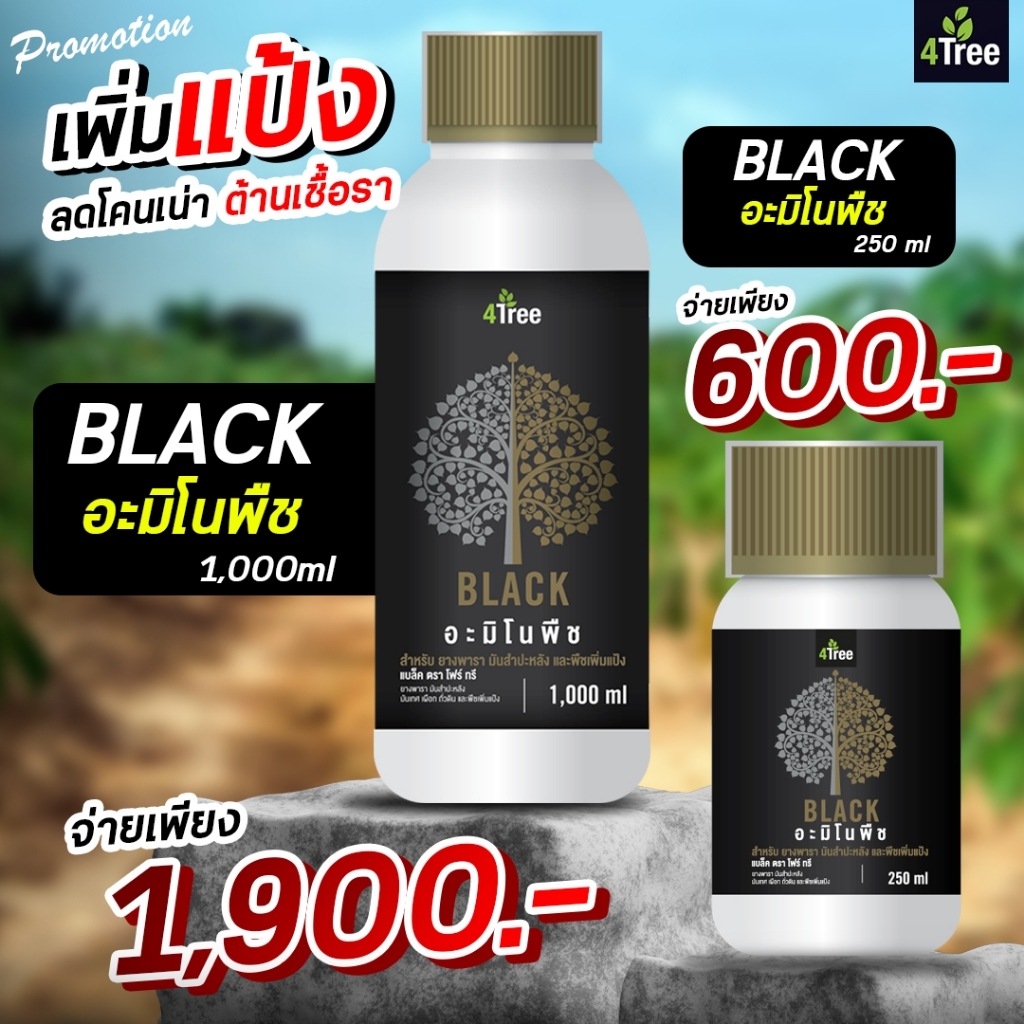 4Tree โฟร์ทรี อะมิโนพืช Amino Black อะมิโนแบล็ค (250ซีซี)เพิ่มน้ำหนัก สร้างแป้ง ต้านโรค เสริมระบบราก