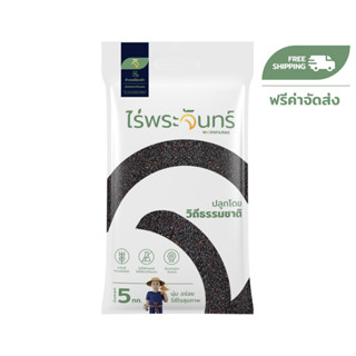 ข้าวเหนียวดำ 5Kg คัดพิเศษ ปลอดสาร ไม่ใช้สารกันมอด ไร่พระจันท…