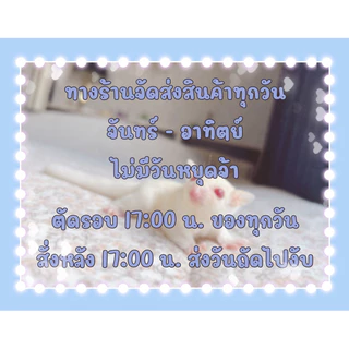 ✨🥥ไข่ป๊อปและชีสหวาน💫ขนนชูการ์ไกรเดอร์