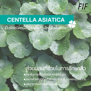 Faith in Face Cica5 สูตรลดสิว ปลอบประโลมผิว ขนาด 500 มล. Cica5 Truly Soothing Cleansing Water