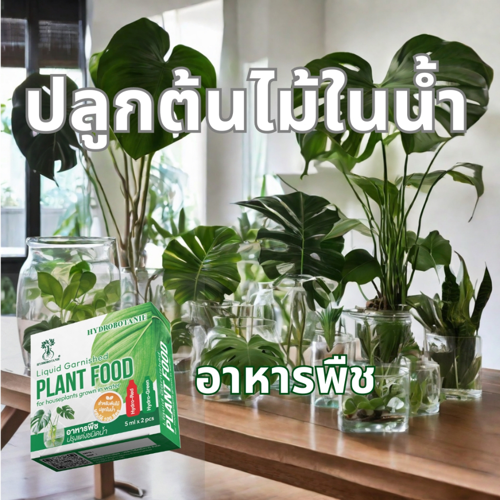 PLANT FOOD ปลูกต้นไม้ในน้ำ อาหารพืชชนิดน้ำ ปลูกไม้ประดับในน้ำ ต้นไม้น้ำ พืชน้ำ ไม่ใช้ดิน ปลูกไร้ดิน
