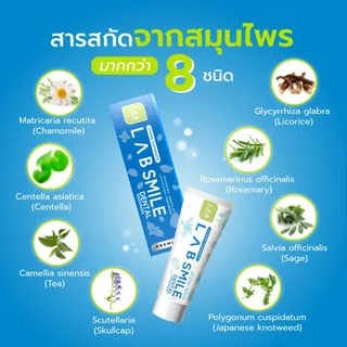 3 กล่อง Lab Smile Dental - แลบ สไมล์เด้นทอล ยาสีฟันสูตรพรีเมี่ยม ล้ำลึกปัญหาช่องปาก