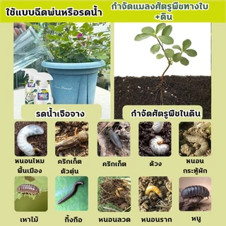 ยากำจัดแมลงพืช 500ml ยาฆ่าแมลง ยากำจัดหนอน สารกำจัดแมลง ยาฆ่าแมลงกินใบ ยากำจัดเพลี้ย ยาฆ่าเพลี้ย ​หนอน มด เกษตร สว