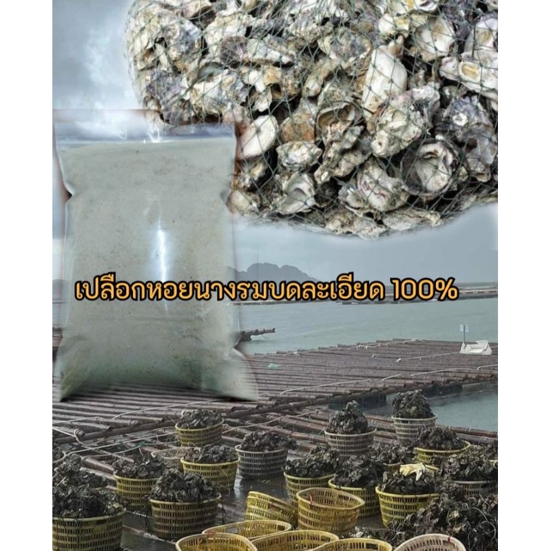 ปูนขาวจากเปลือกหอยนางรมบดละเอียดแท้100%แพคละ1กก.
