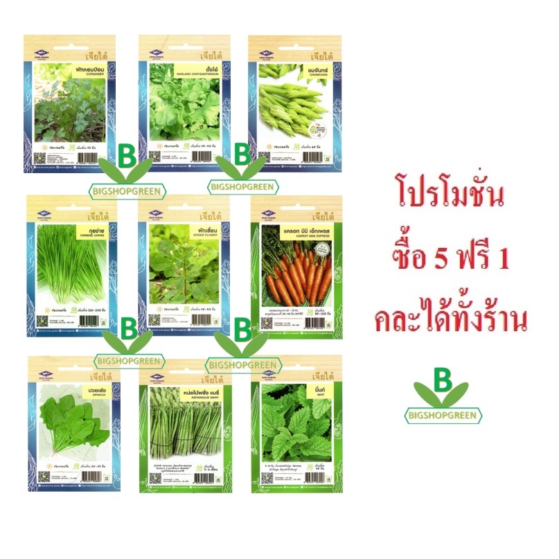 5 ฟรี 1 คละได้ทั้งร้าน เมล็ดพันธุ์ผัก พื้นบ้าน เจียไต๋ ราคาส่ง