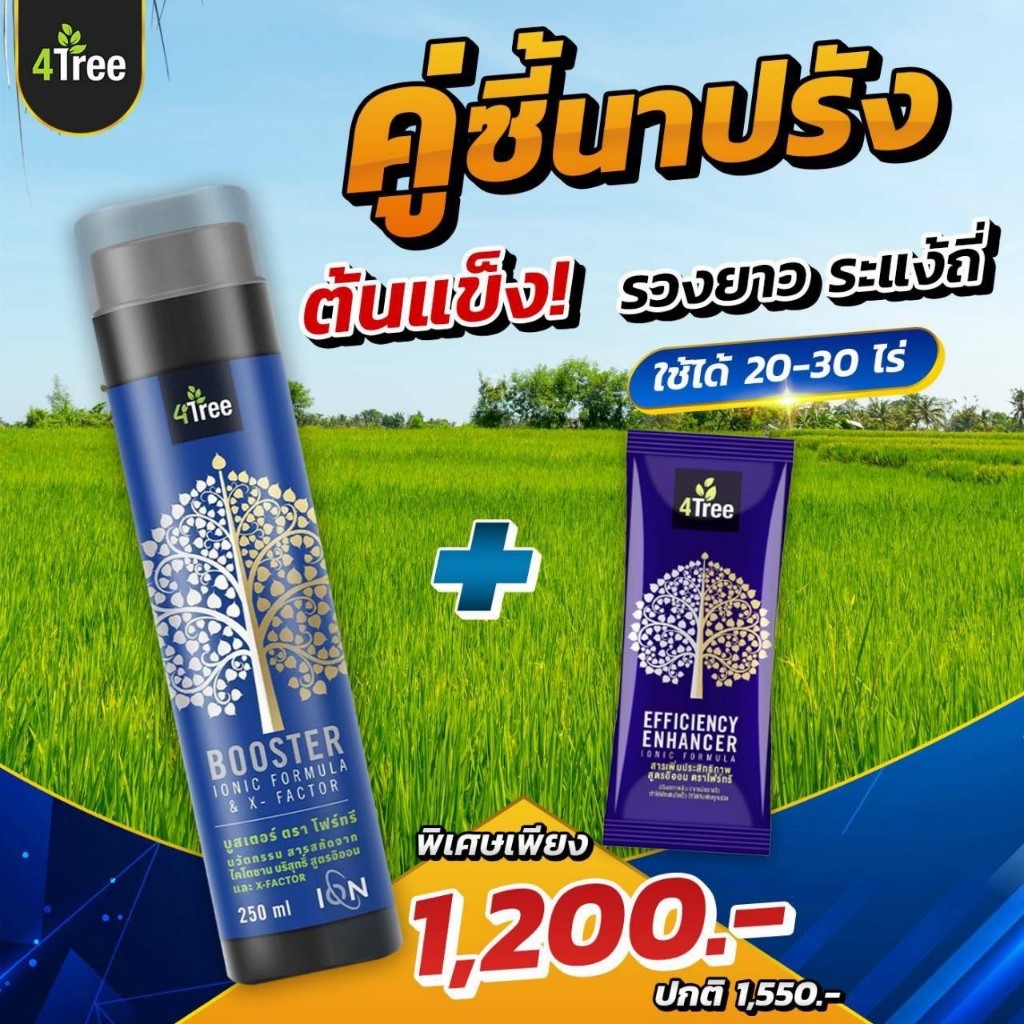 ชุดเพิ่มการเจริญเติบโต โฟร์ทรี 1 ซอง +บูสเตอร์ ไคโตซาน 1 ขวด ราคา 1,200 บาท นวัตกรรมสารสกัดจากธรรมชาติ ของแท้ 100%