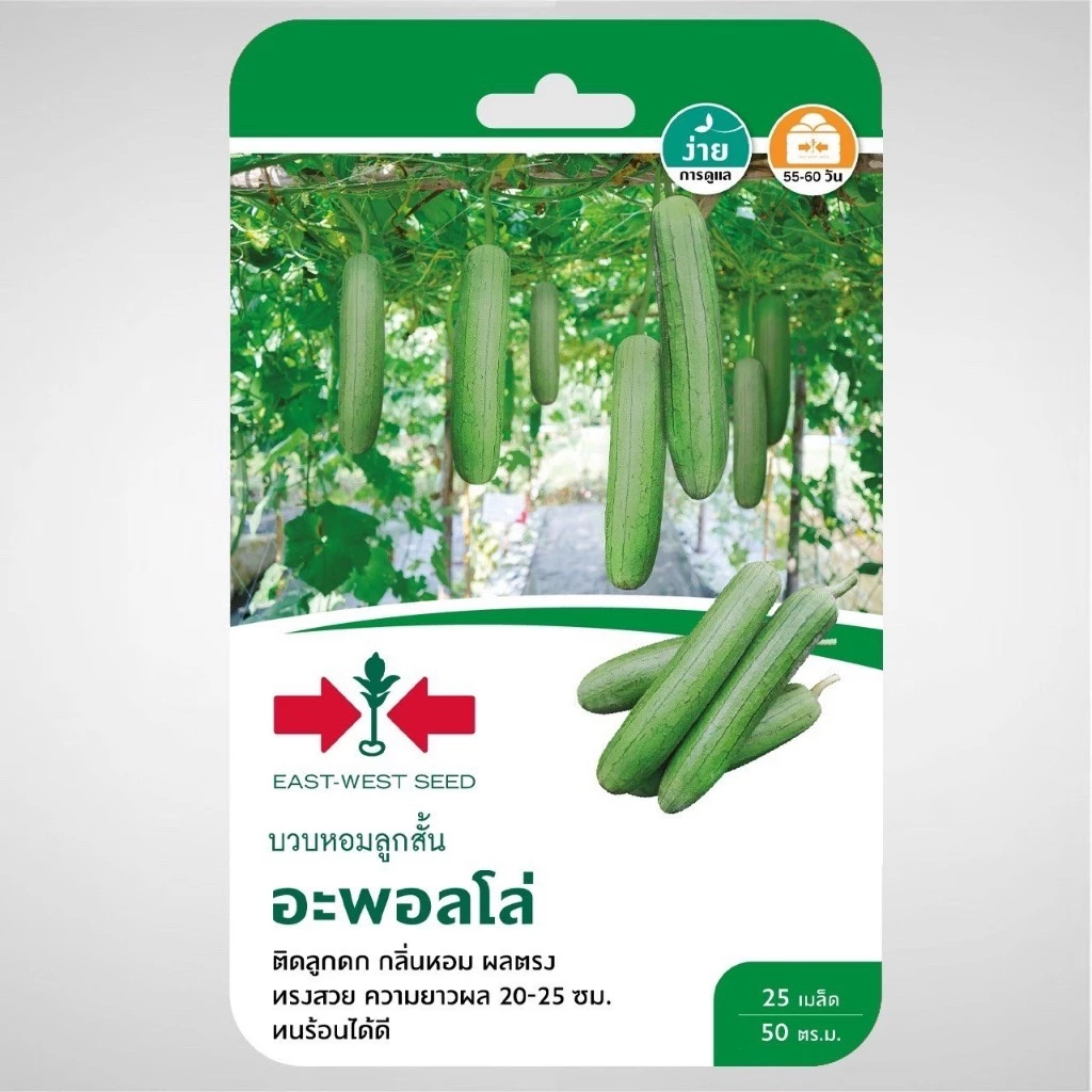บวบหอมลูกสั้นลูกผสม F1 อะพอลโล่ 25 เมล็ด ศรแดง