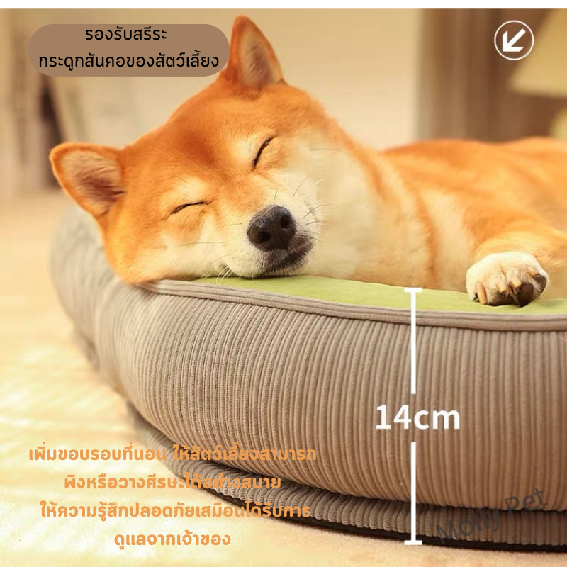 MollyPet ที่นอนสัตว์เลี้ยง ที่นอนสุนัข นุ่ม สบาย ที่นอนแมว เตียงสุนัข เตียงแมว หมา เบาะสัตว์เลี้ยง Pet Bed