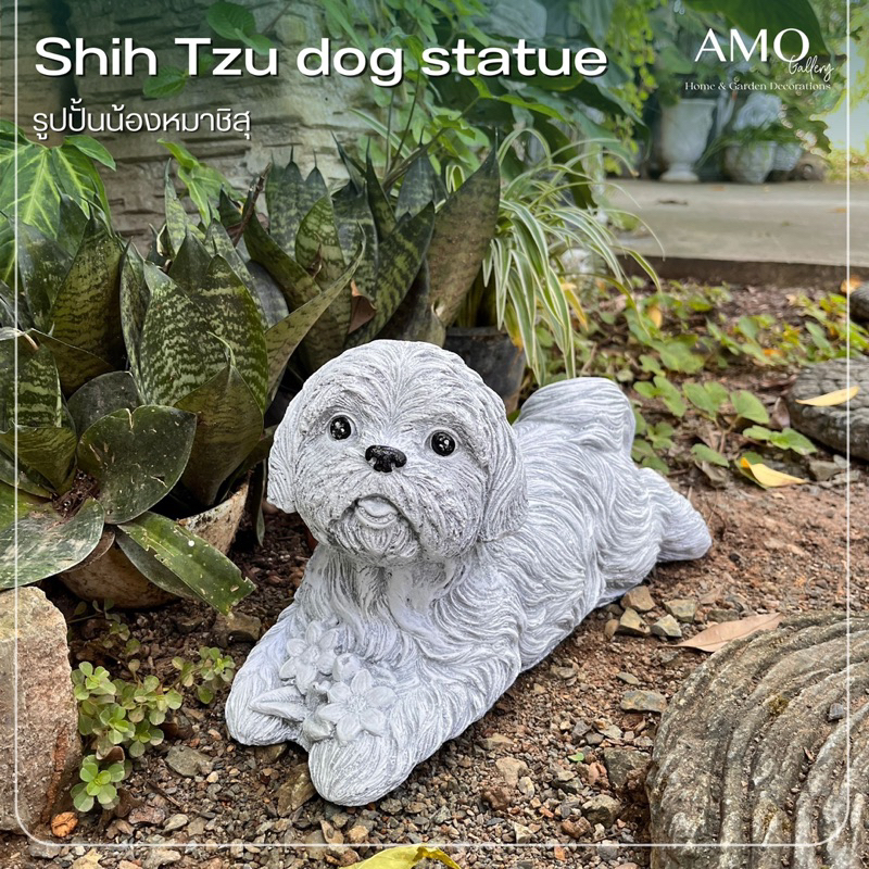 AMO GALLERY | รูปปั้นน้องหมาชิสุ ชิสุ หมาชิสุ ตุ๊กตาแต่งสวน ปูนปั้นแต่งสวน แต่งสวนสไตล์โรมัน