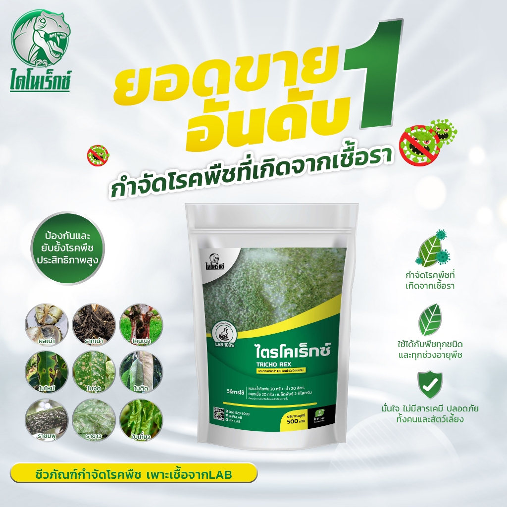 ไตรโคเดอร์มา [ไตรโคเร็กซ์] ตราไดโนเร็กซ์ กำจัดโรคพืช ใบไหม้ ใบจุด ใบเหลือง ใบเหี่ยว ออร์แกรนิคปลอดภัย100%