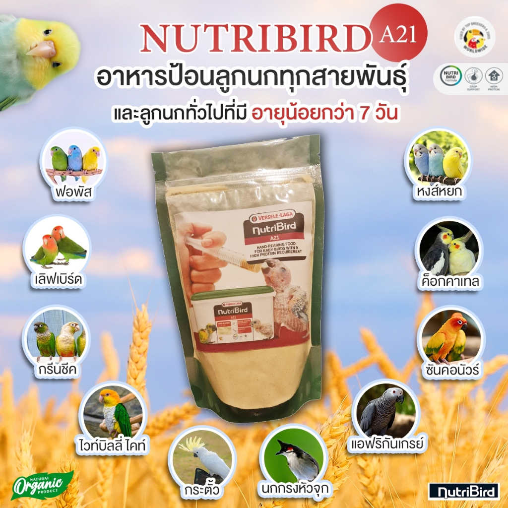 อาหารลูกป้อน NutriBird A21 ฝาเขียว (แบ่งบรรจุ) 200 กรัม อาหารลูกนก สำหรับลูกป้อนทุกสายพันธุ์ นกแก้ว นกกรงหัวจุก