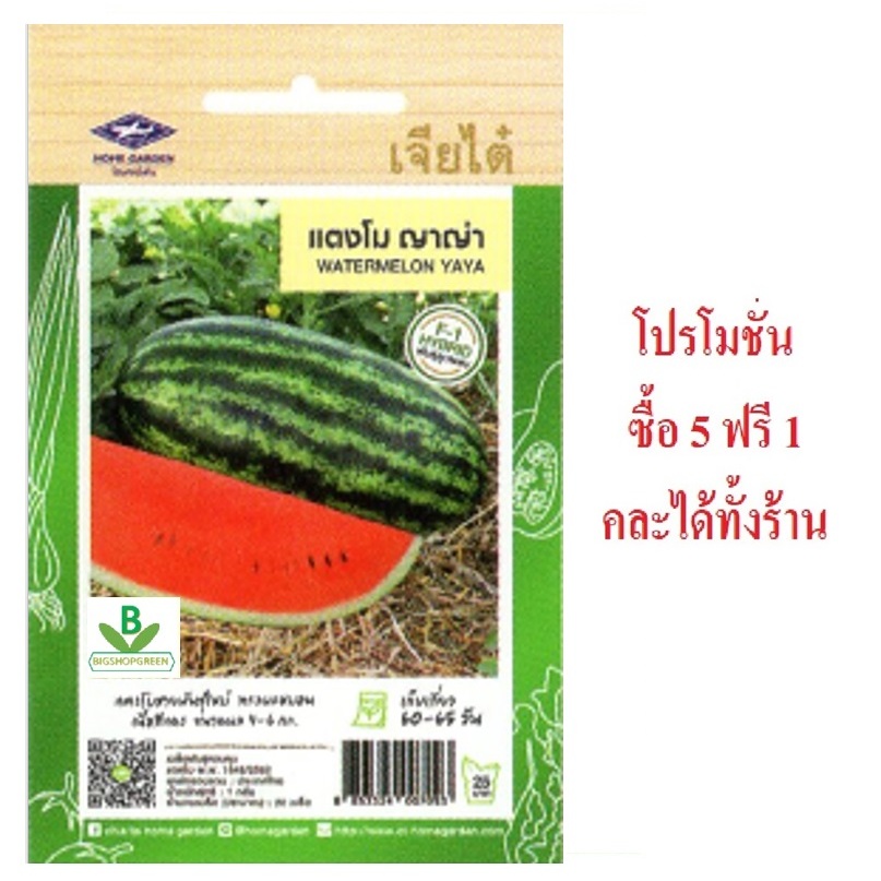 5 แถม 1 คละได้ทั้งร้าน เมล็ดพันธุ์ แตงโม ญาญ่า เจียไต่ เมล็ดพันธุ์คัดพิเศษ F1 แตงโมสายยพันธุ์ใหม่ ทรงผลหมอน เนื้อสีแดง