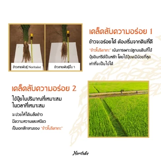 ข้าวญี่ปุ่นโคชิฮิคาริ 5 kg (Koshihikari) ตรา Noritake