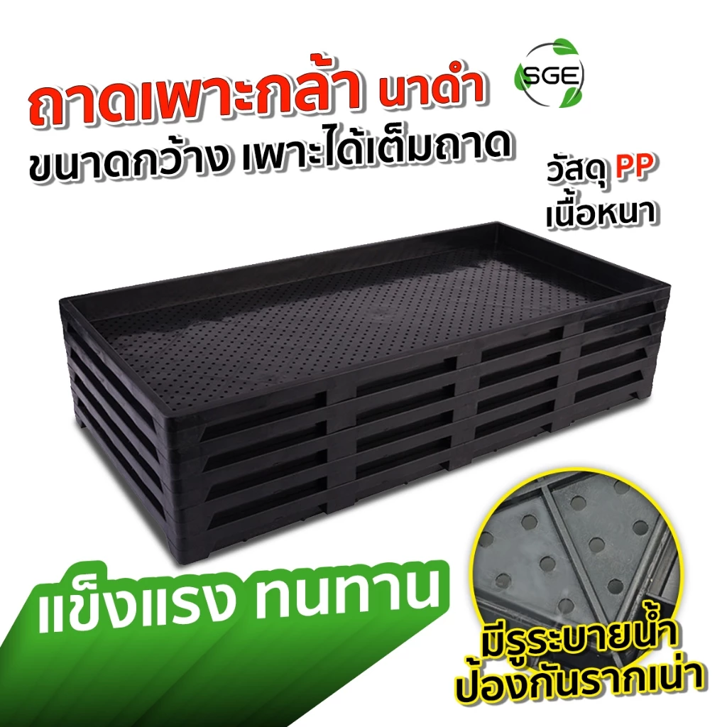 SGE ถาดเพาะกล้า เพาะข้าว นาดำ รุ่น GTMG ไม่กรอบแดด ผลิตจากพลาสติก PP ของแท้จาก SGE