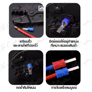 [50 ตัว] DBV หางปลา DBV หางปลาตรง หางปลาย้ำสายแบบตรง