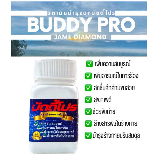 วิตามินบัดดี้โปรสำหรับนกกรงหัวจุกสูตรขยันร้อง