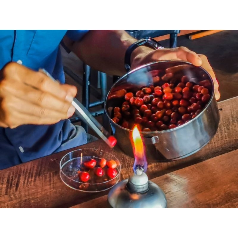 กาแฟดริป Drip Coffee จากร้าน Banaberry cafe รูปที่ 5