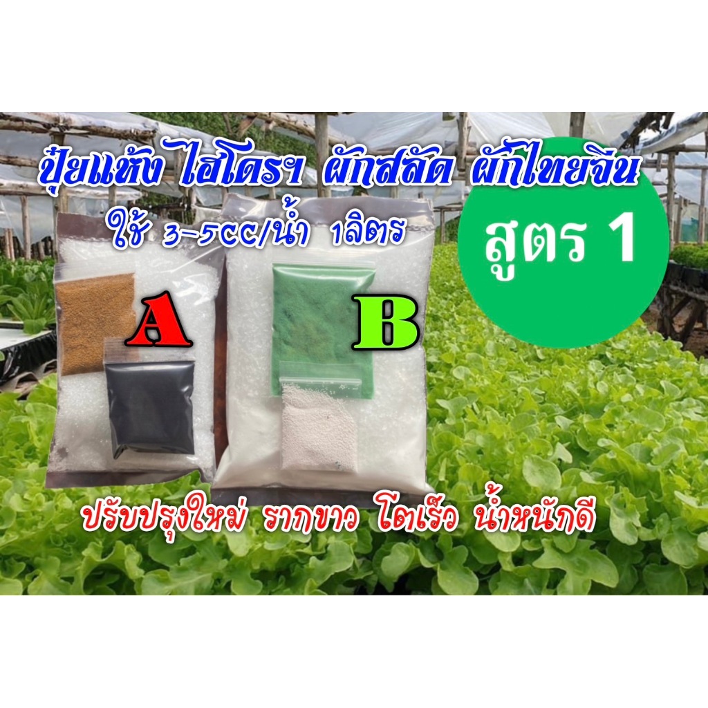 ปุ๋ยแห้ง  AB ผักสลัด,ผักไทย/จีน  สูตร 1 ชุดคู่ 50ลิตร