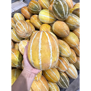 แตงไทย หอมๆจ้า ขนาดน้ำหนัก 8 ขีด ถึง 1 กิโลขนาดลูกพอดีทาน