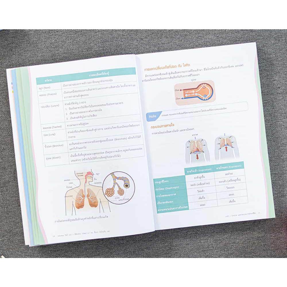 Infopress(อินโฟเพรส)หนังสือ Advance วิทย์ ป.6+พิชิตสอบ Gifted ม.1 รร. ชั้นนำ มั่นใจเต็ม 100 (9786164872554) - รูปที่ 3