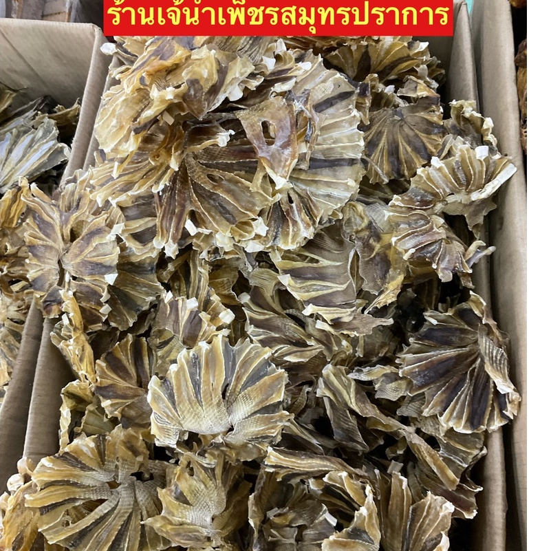 ปลากระเบนแห้งจืดเนื้อบางขนาด500กรัม