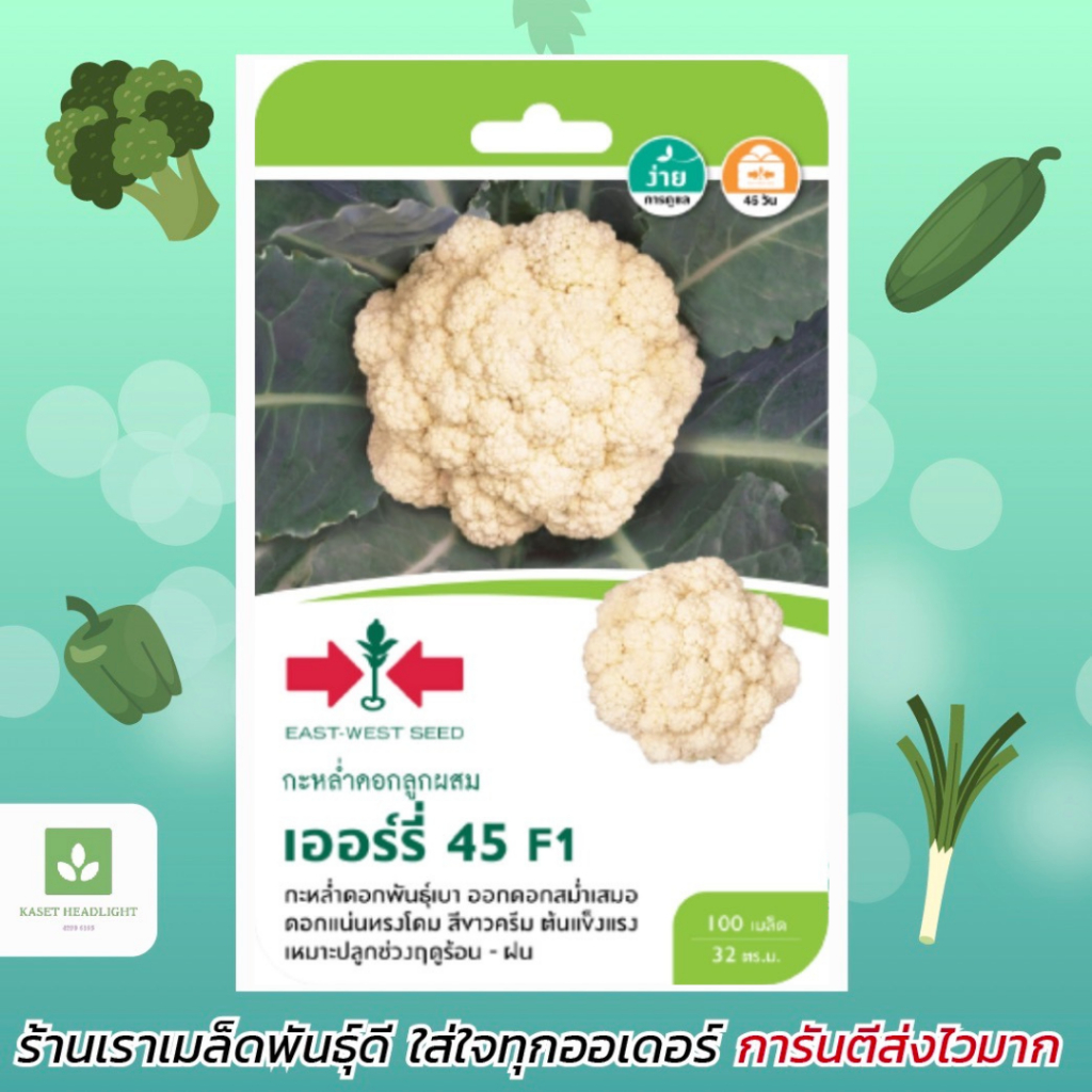 เมล็ดพันธุ์กะหล่ำดอก F1 เออร์รี่ 45 เมล็ดพันธุ์ ตราศรแดง