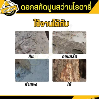 💥1แถม1💥ดอกสกัด (ปลายแบน+ปลายแหลม) ดอกสกัดปากแบน ดอกสกัดปากแหลม​ ดอกสกัดปูน​ ดอกแย็กปูน