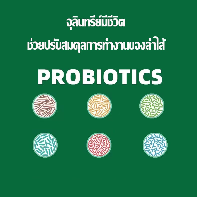 โยเกิร์ตพร้อมดื่ม สำหรับหมาแมว ไม่มีแลคโตส มีโพรไบโอติก รูปที่ 6