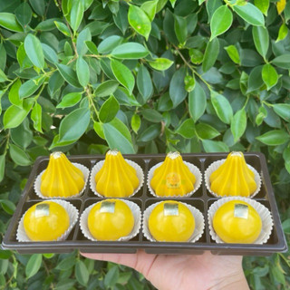 ขนมโมทกะลาดูก้อนทอง ขนาด40กรัม 8 ลูก ‼️ทานได้ อร่อยด้วย‼️ (ข…