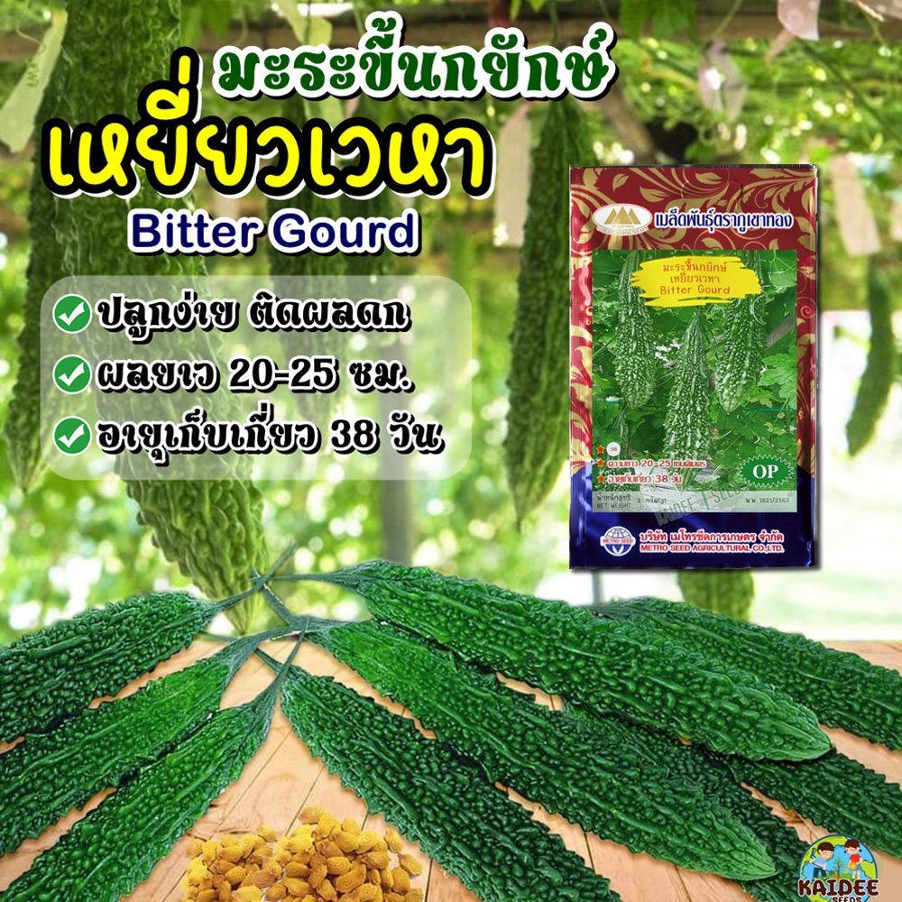 เมล็ดมะระขี้นกยักษ์ เหยี่ยวเวหา Bitter Gourd ตราภูเขาทอง เมล็ดพันธุ์มะระขี้นก เมล็ดมะระขี้นก