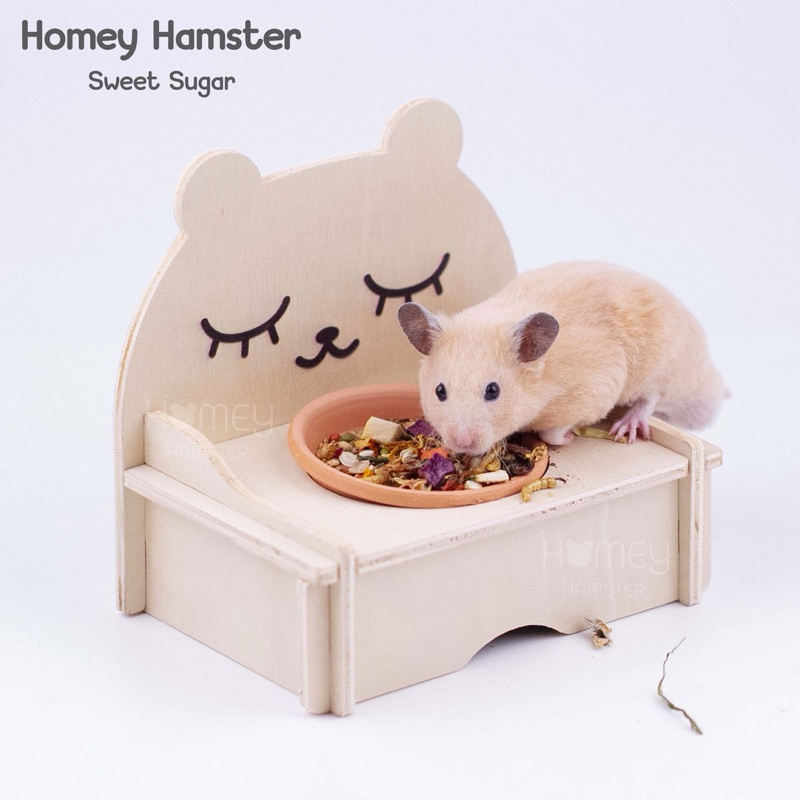 Homey Hamster ถ้วยอาหารแฮมสเตอร์ Sweet Sugar บ้านหลบ กรงแฮมสเตอร์ ขวดน้ำแฮมสเตอร์ กล่องขุด niteangel