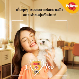 Pedigree Pouch เพดดีกรี อาหารสุนัขชนิดเปียก ขนาด 80G (โหล12ซอง)