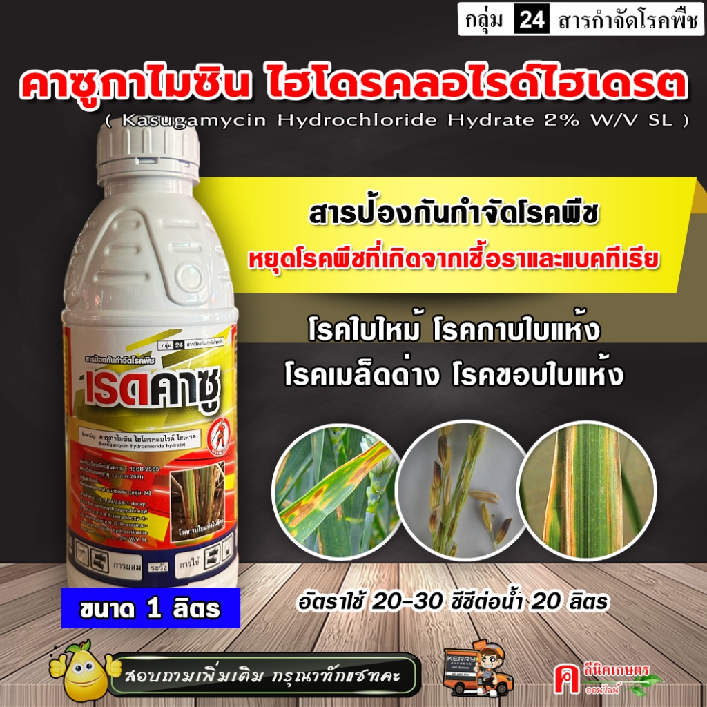 เรดคาซู / คาซูกาไมซิน  (1 ลิตร) คาซูก้ามัยซิน คาซูกามัยซิน ไฮโดรคลอไรด์ ไฮเดรต ป้องกันกำจัดโรคพืช โรคใบไหม้ ขอบใบแห้ง