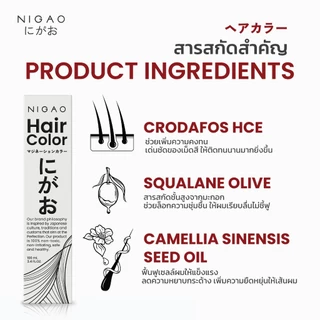 [ฟรี Developer] NIGAO Hair Color Fashion V5 Grape | นิกาโอะ ครีมเปลี่ยนสีผม สีย้อมผม สีม่วง องุ่น 100 mL