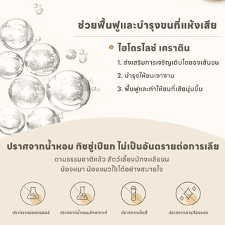 yoyopet : Pet Wipes ทิชชู่เปียกสำหรับสัตว์เลี้ยง ผ้าเปียก Seaweed กลิ่นหอมละมุน สูตรแอนตี้แบคทีเรีย