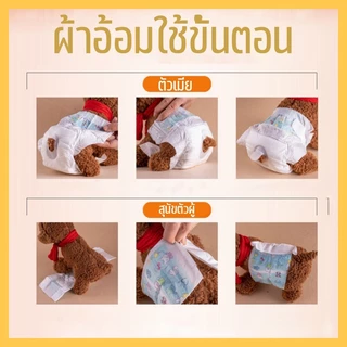 ผ้าอ้อมสุนัขเพศผู้ ผ้าอ้อมสุนัขเพศชาย ผ้าอ้อม สำหรับสุนัขและแมว มี 6 ขนาด ผ้าอ้อมน้องหมา ผ้าอ้อมสุนัข เพศเม 12-36pcs