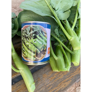 คะน้าหวานเห็ดหอม คัดพันธ์ุพิเศษ คะน้าฮ่องกง  ของใหม่ชัวร์  ส…